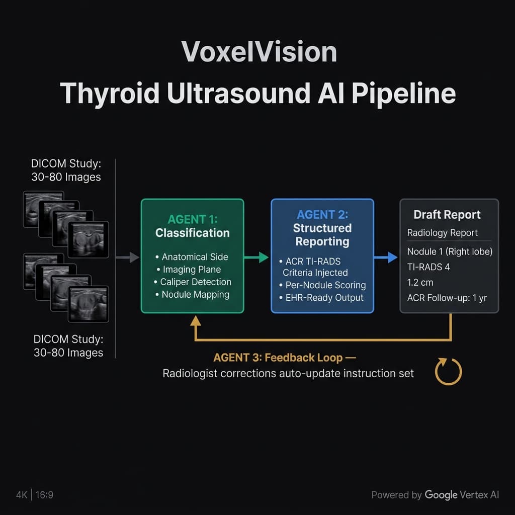 Thyroid ultrasound AI pipeline diagram